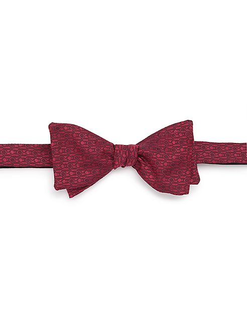 Salvatore Ferragamo - Printed Silk Bow Tie